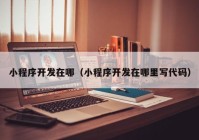 小程序開(kāi)發(fā)在哪（小程序開(kāi)發(fā)在哪里寫代碼）
