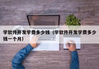 學軟件開發(fā)學費多少錢（學軟件開發(fā)學費多少錢一個月）