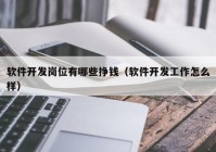 軟件開(kāi)發(fā)崗位有哪些掙錢(qián)（軟件開(kāi)發(fā)工作怎么樣）
