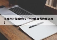 小程序開(kāi)發(fā)教程55（小程序開(kāi)發(fā)教程55頁(yè)）