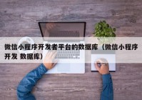 微信小程序開發(fā)者平臺的數據庫（微信小程序開發(fā) 數據庫）
