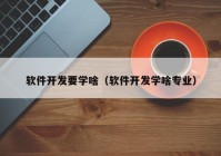 軟件開發(fā)要學啥（軟件開發(fā)學啥專業(yè)）