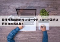 軟件開發(fā)培訓班多少錢一個月（軟件開發(fā)培訓班出來的怎么樣）