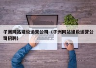 子洲網站建設運營公司（子洲網站建設運營公司招聘）